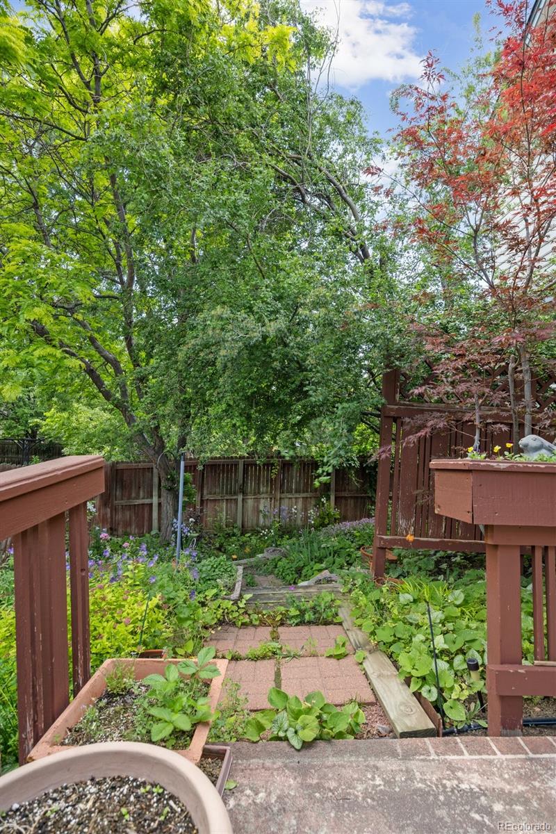 MLS Image #34 for 6506 s robb way,littleton, Colorado