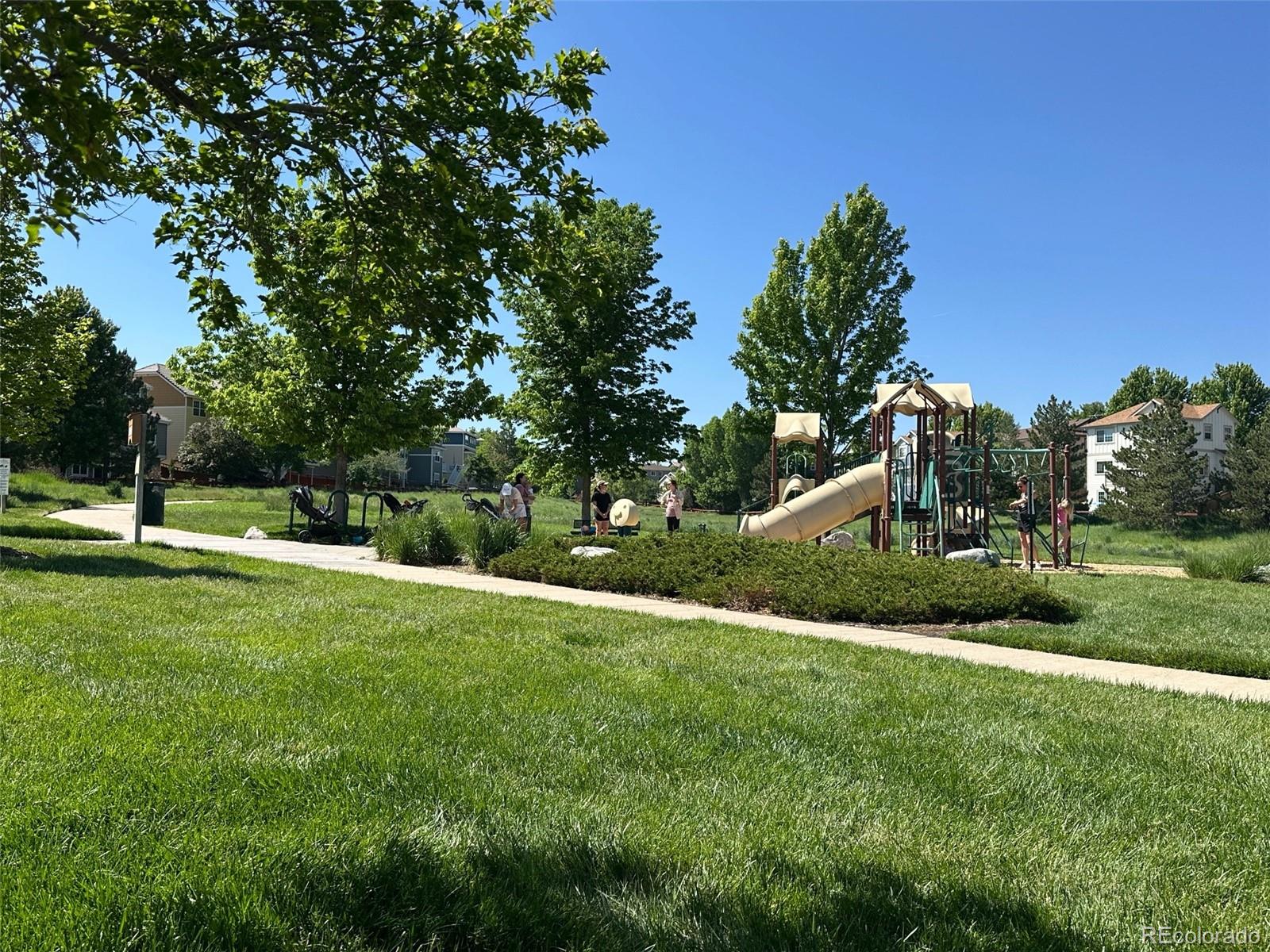 MLS Image #46 for 3411  springbriar drive,castle rock, Colorado