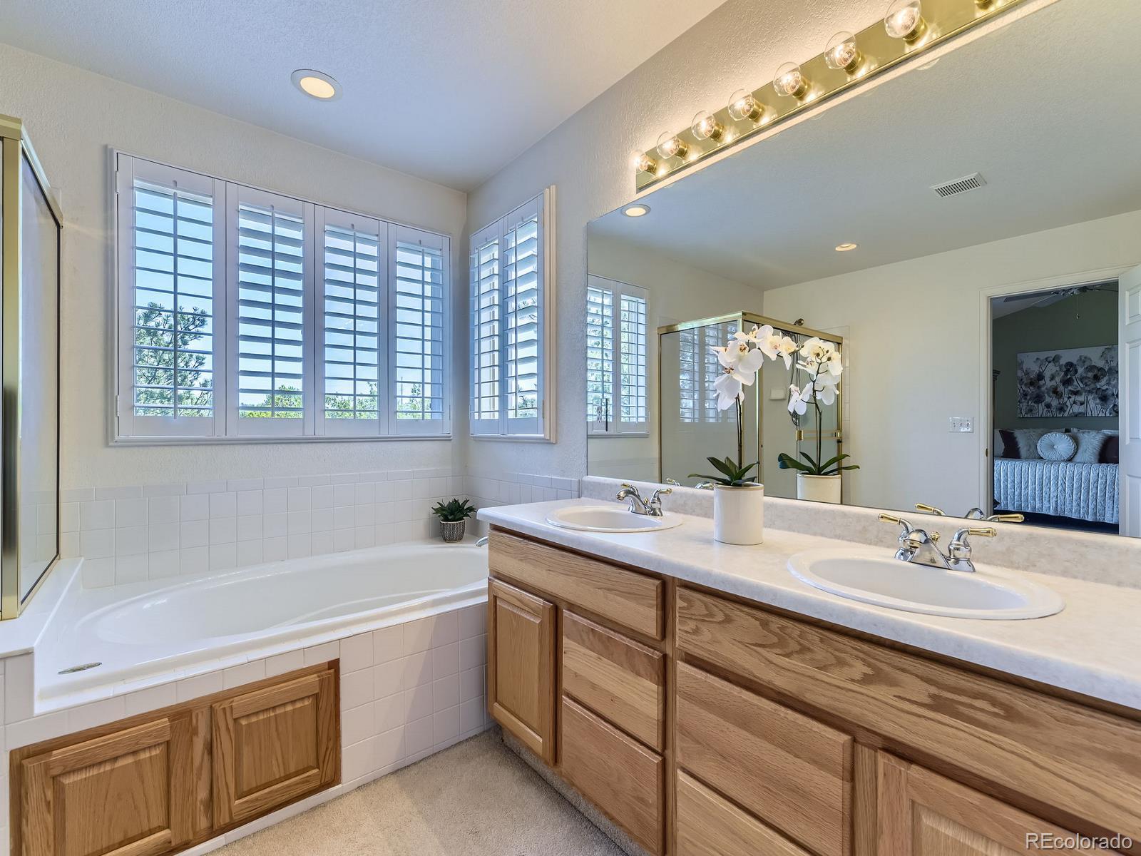 MLS Image #15 for 10904  eagle run drive,parker, Colorado