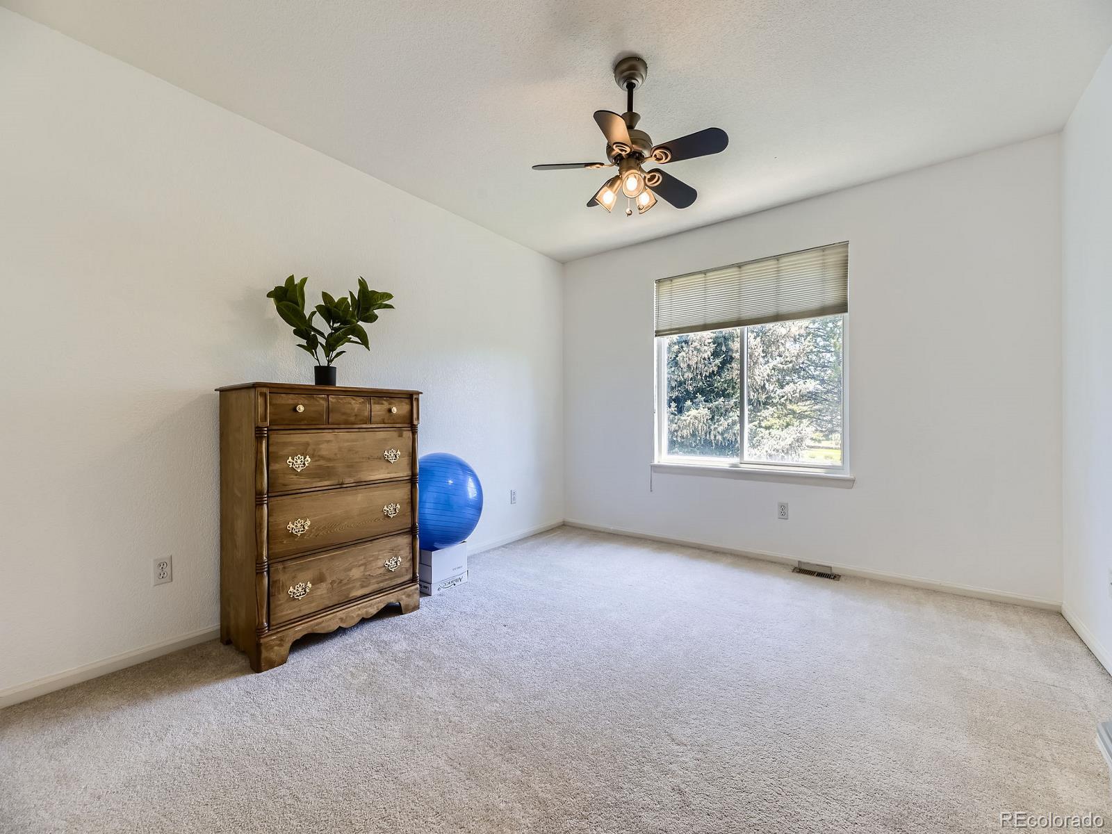 MLS Image #20 for 10904  eagle run drive,parker, Colorado