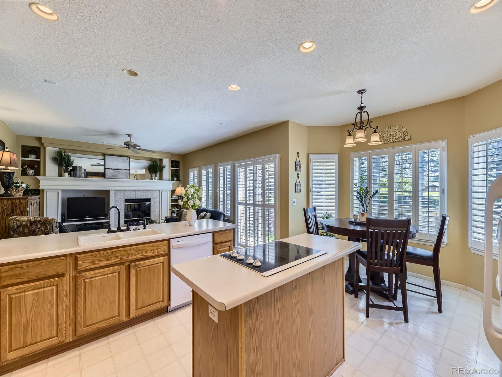 MLS Image #4 for 10904  eagle run drive,parker, Colorado