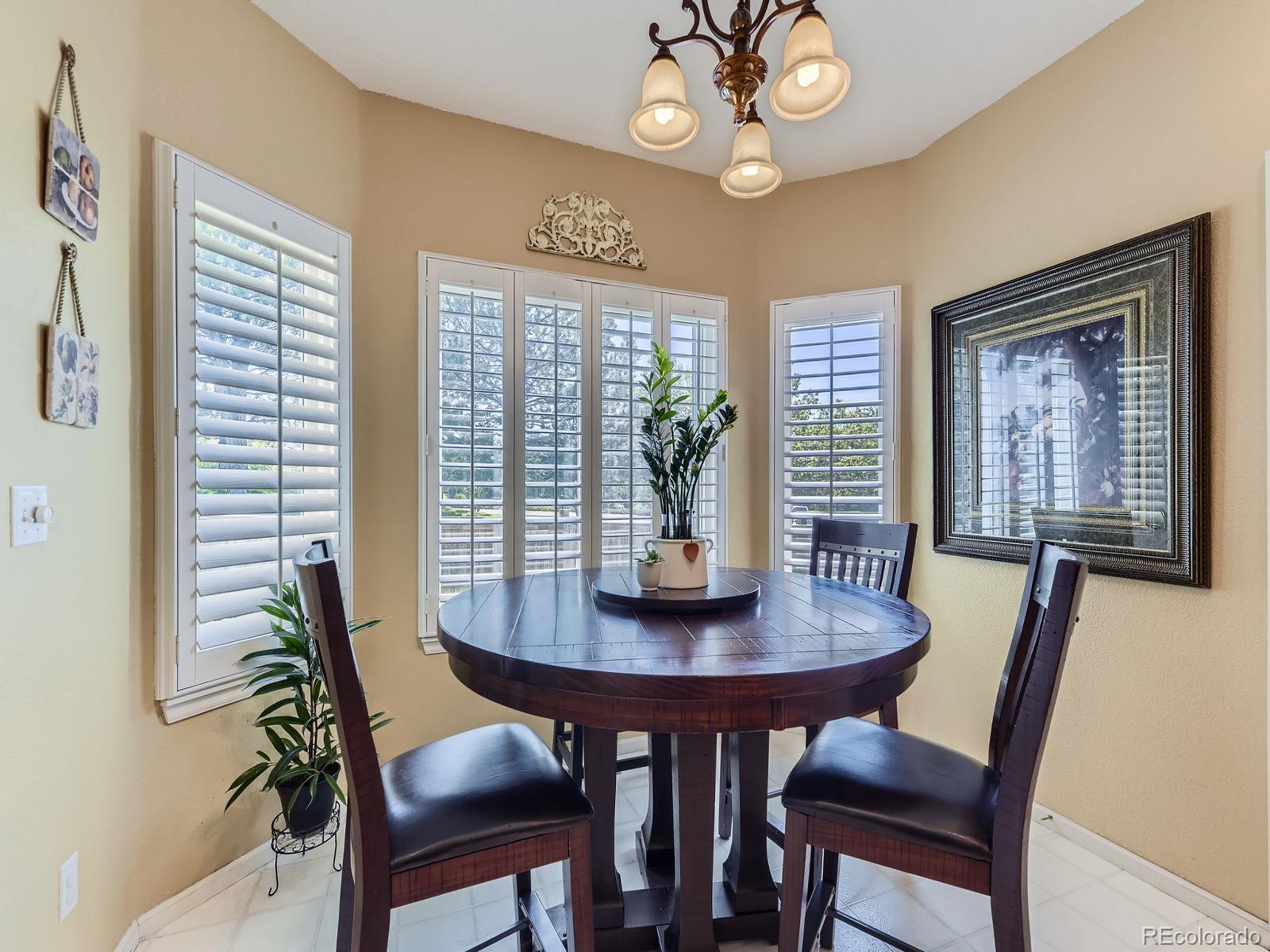 MLS Image #6 for 10904  eagle run drive,parker, Colorado
