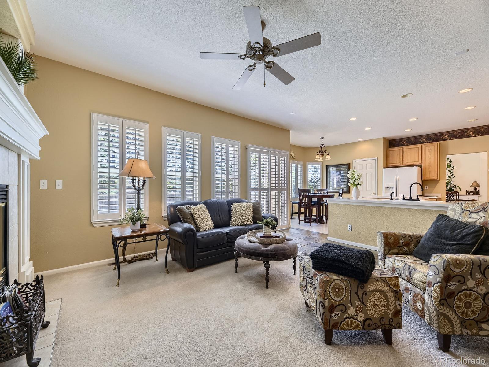 MLS Image #9 for 10904  eagle run drive,parker, Colorado