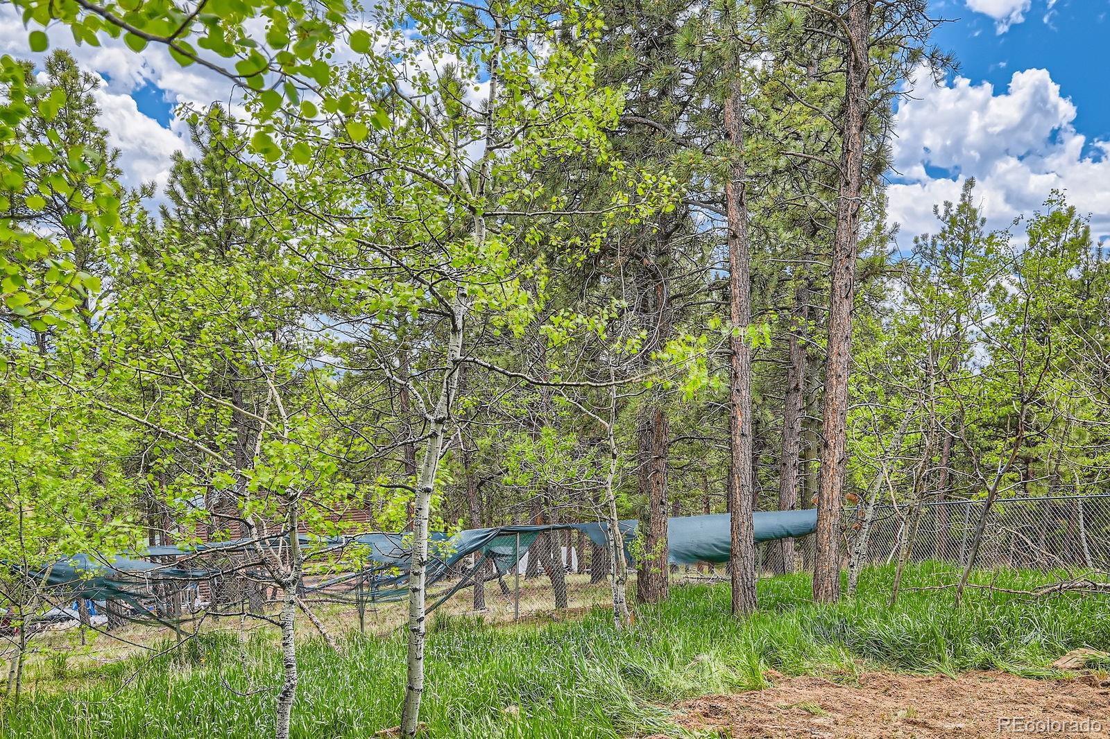 MLS Image #37 for 376  gardenia road,woodland park, Colorado