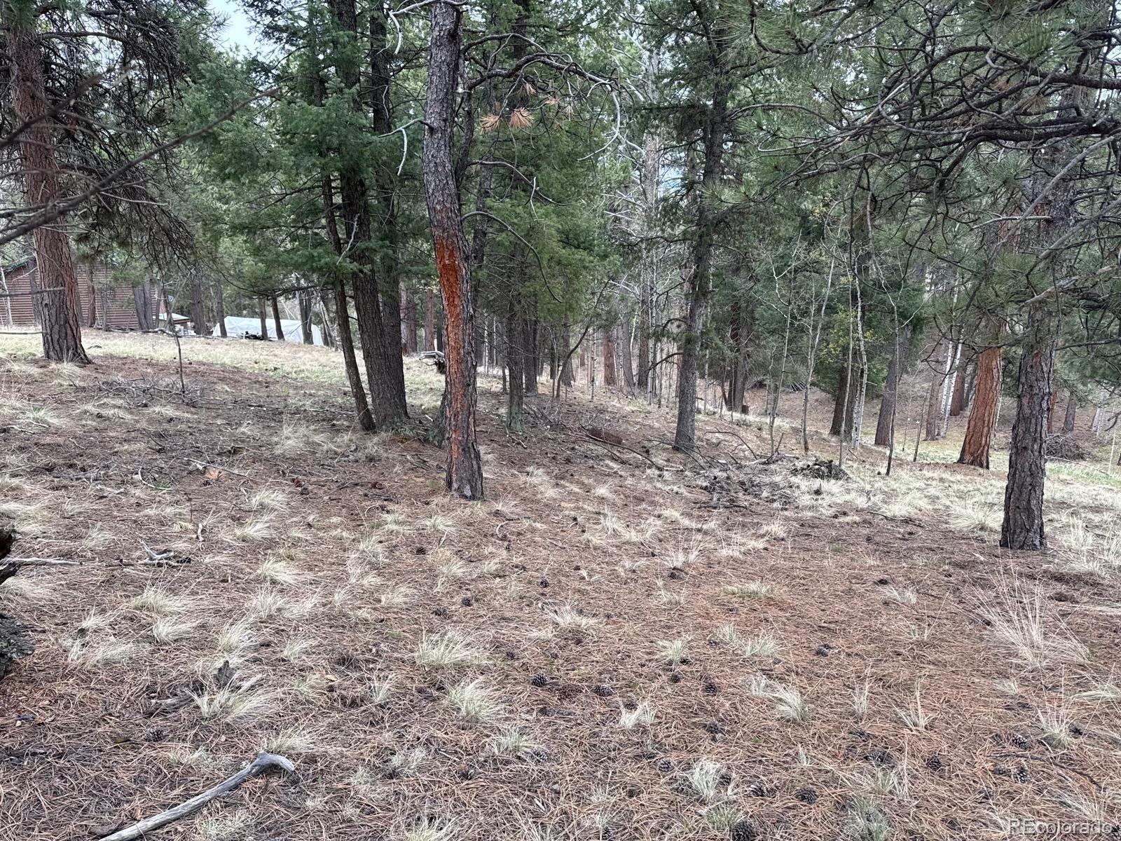 MLS Image #38 for 376  gardenia road,woodland park, Colorado