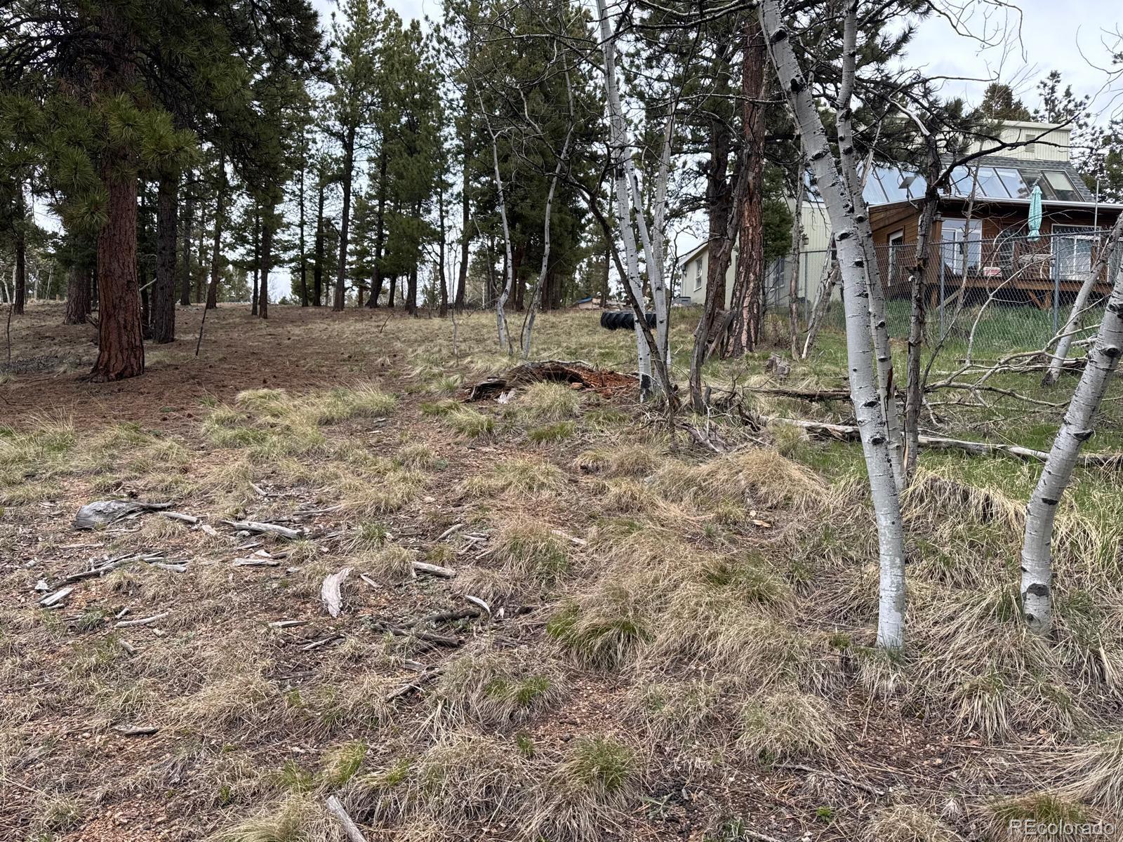 MLS Image #39 for 376  gardenia road,woodland park, Colorado