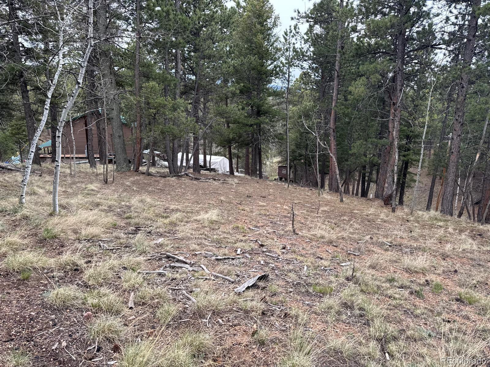 MLS Image #40 for 376  gardenia road,woodland park, Colorado