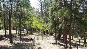 MLS Image #41 for 376  gardenia road,woodland park, Colorado
