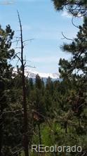 MLS Image #42 for 376  gardenia road,woodland park, Colorado