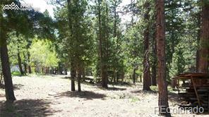 MLS Image #43 for 376  gardenia road,woodland park, Colorado