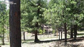 MLS Image #44 for 376  gardenia road,woodland park, Colorado