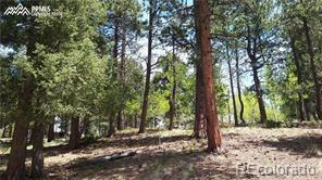 MLS Image #45 for 376  gardenia road,woodland park, Colorado