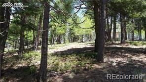 MLS Image #46 for 376  gardenia road,woodland park, Colorado