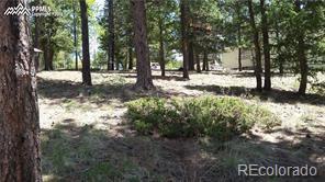 MLS Image #47 for 376  gardenia road,woodland park, Colorado