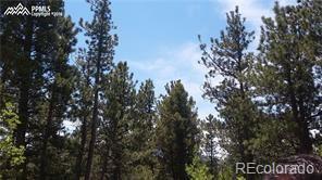 MLS Image #49 for 376  gardenia road,woodland park, Colorado