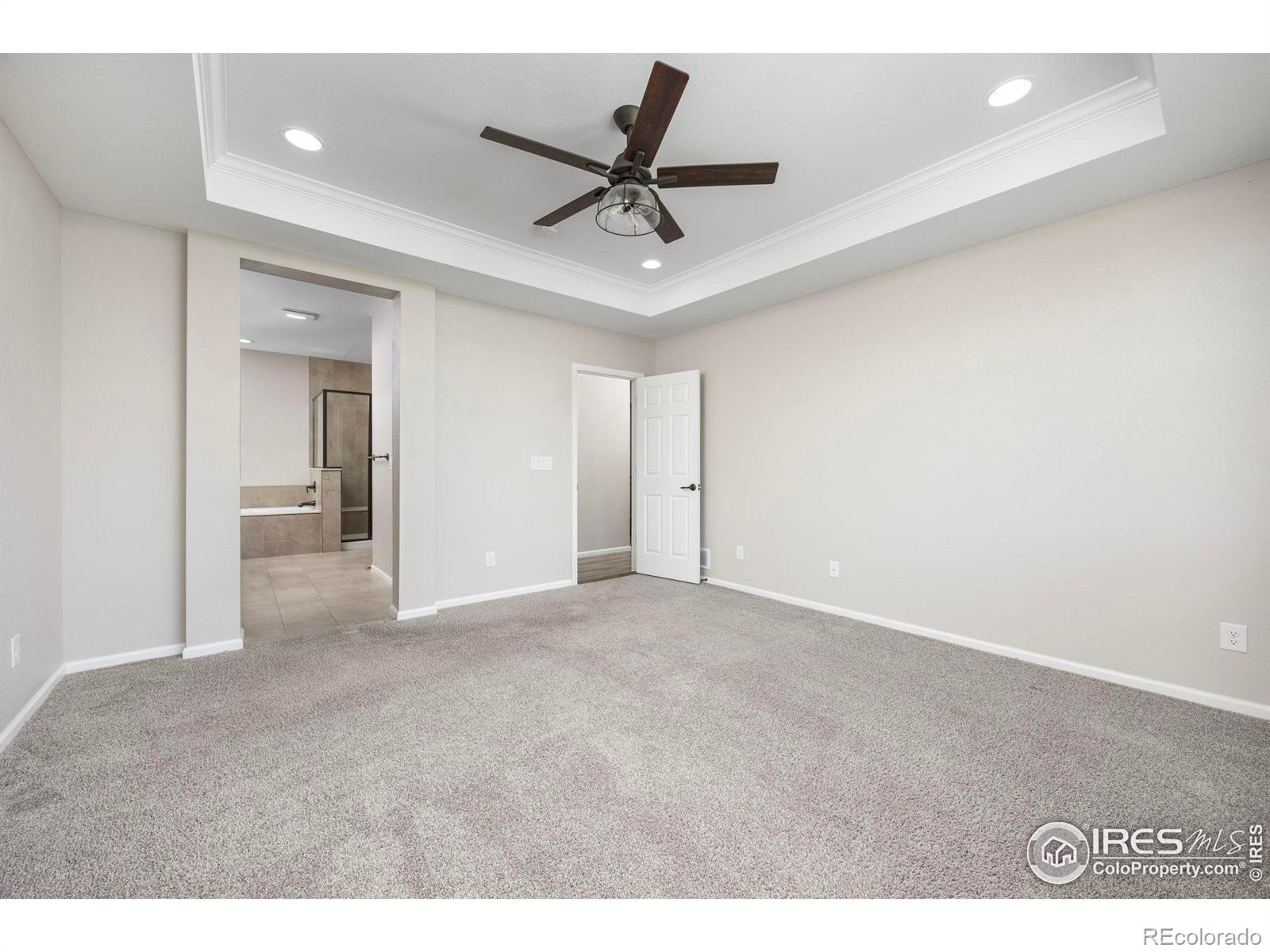 MLS Image #19 for 3326  ice lake court,loveland, Colorado