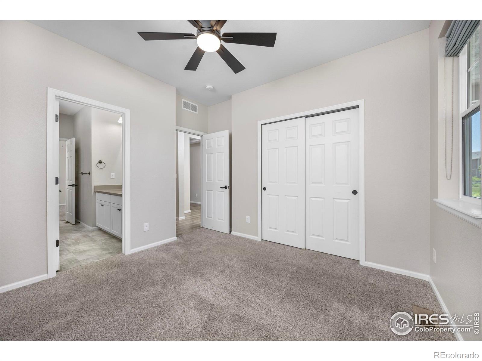 MLS Image #6 for 3326  ice lake court,loveland, Colorado