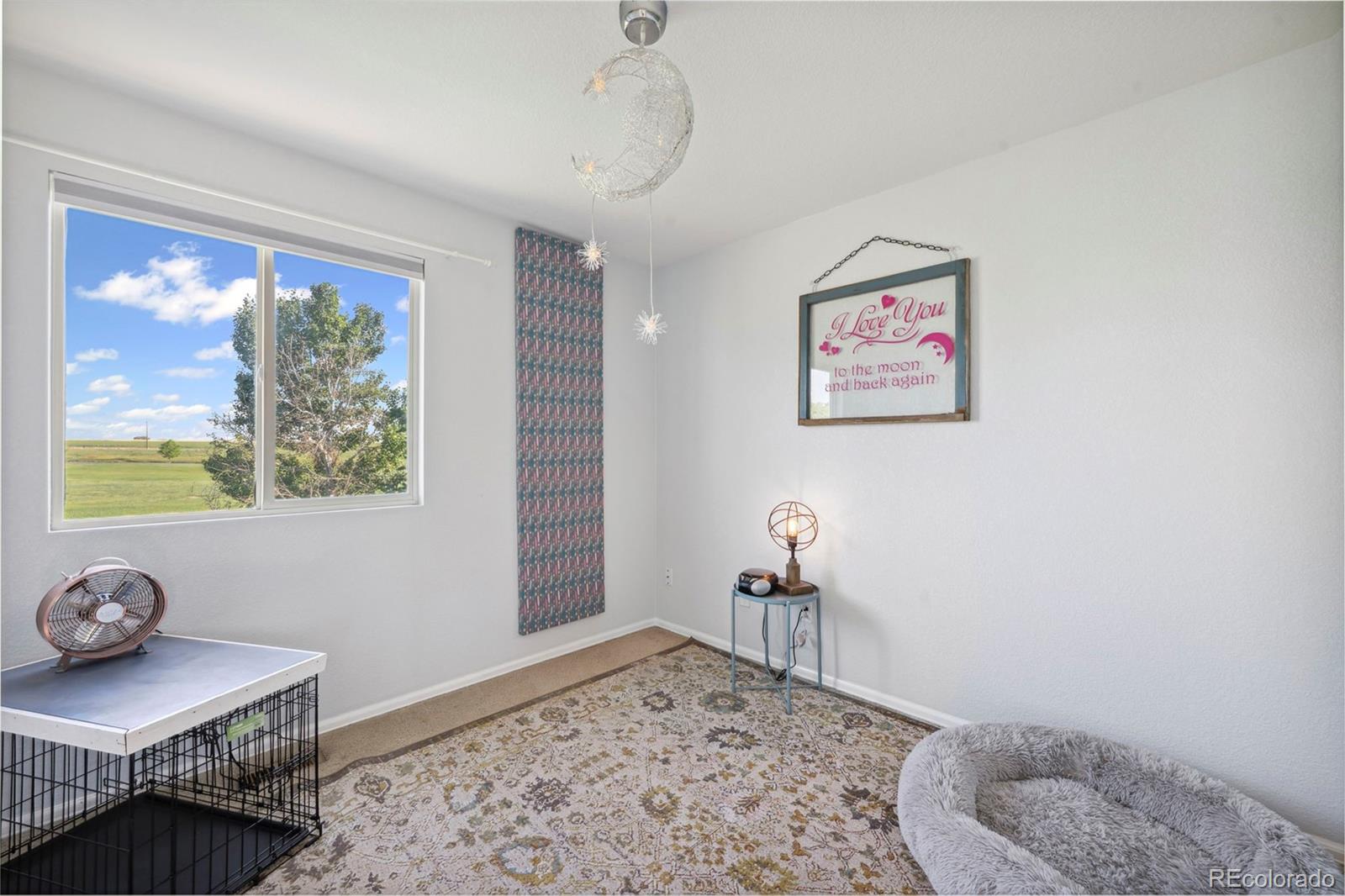 MLS Image #21 for 7977  emerson avenue,frederick, Colorado