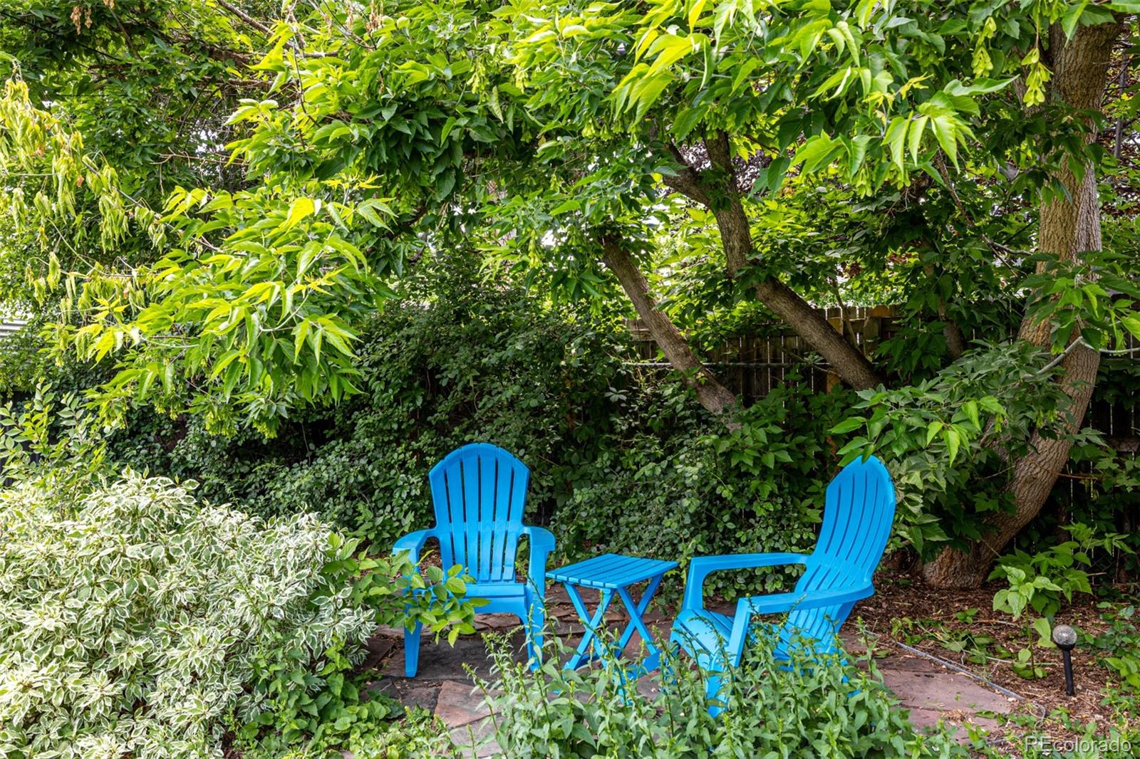 MLS Image #39 for 1635  poplar street,denver, Colorado