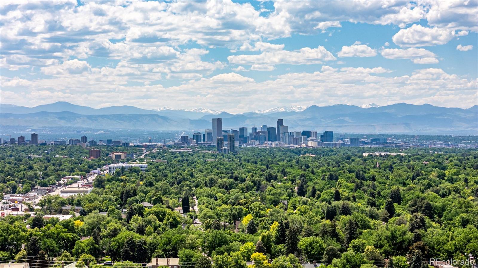 MLS Image #47 for 1635  poplar street,denver, Colorado