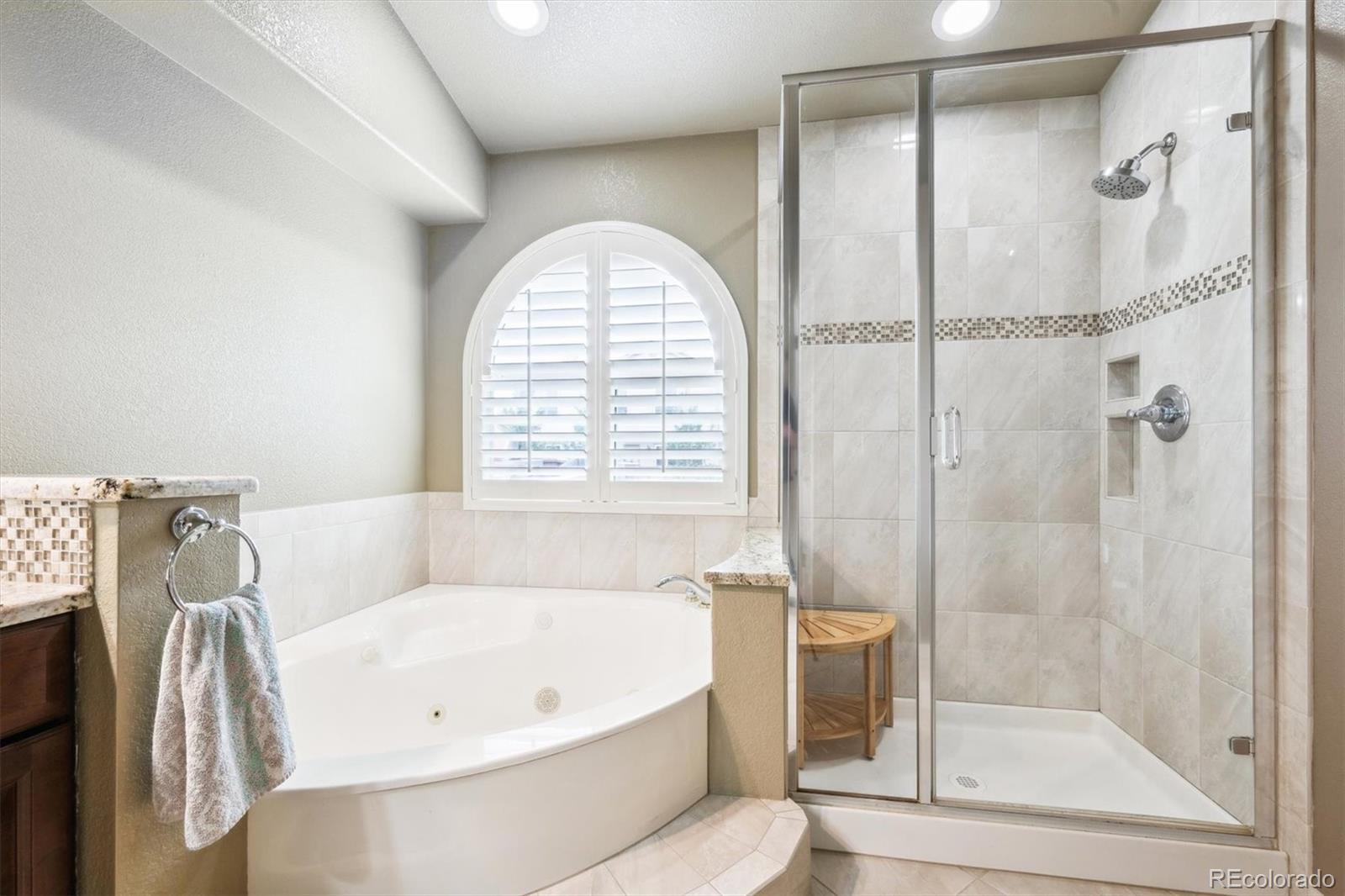 MLS Image #10 for 3305  white oak lane,highlands ranch, Colorado