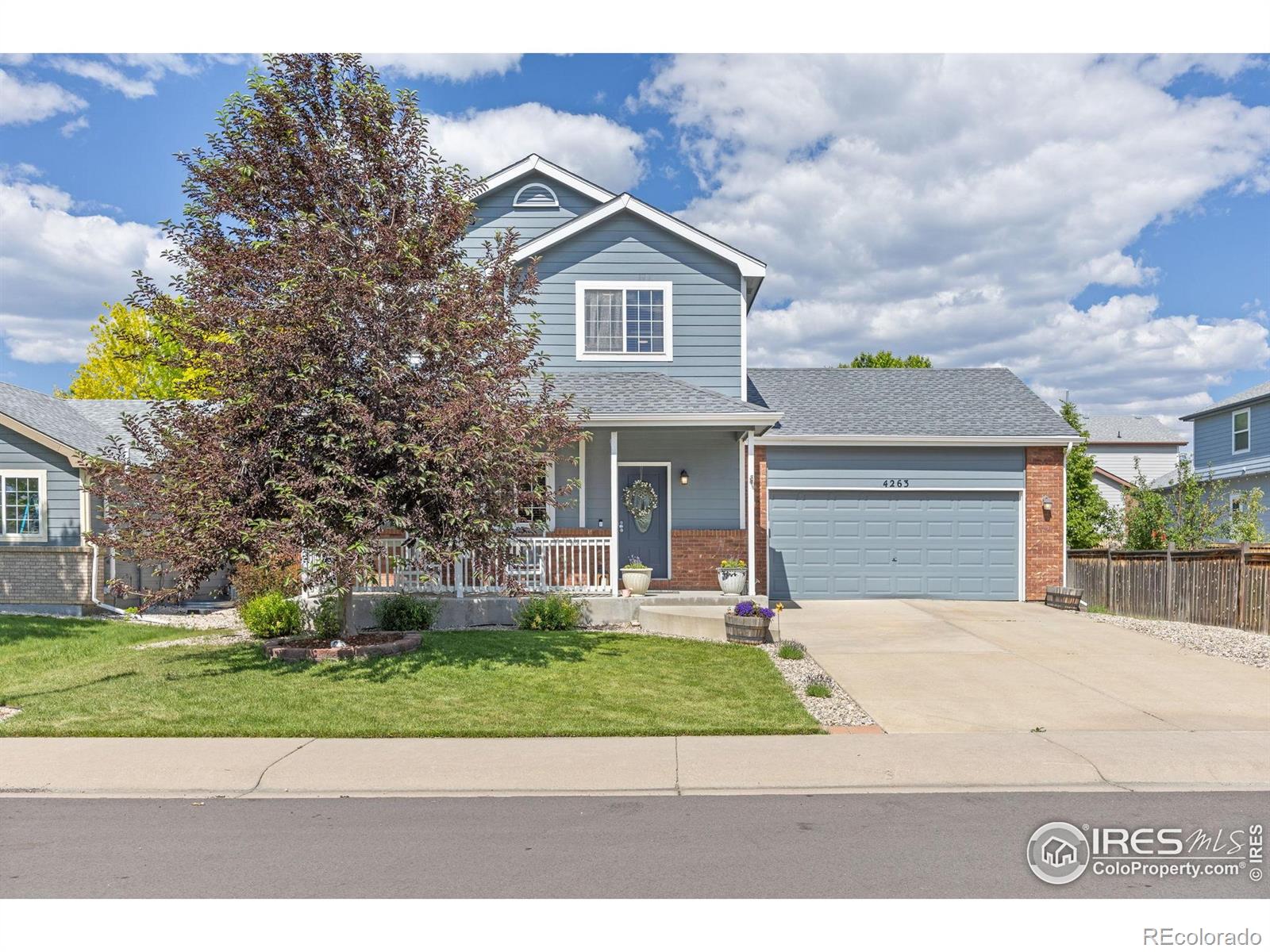 MLS Image #2 for 4263  divide drive,loveland, Colorado