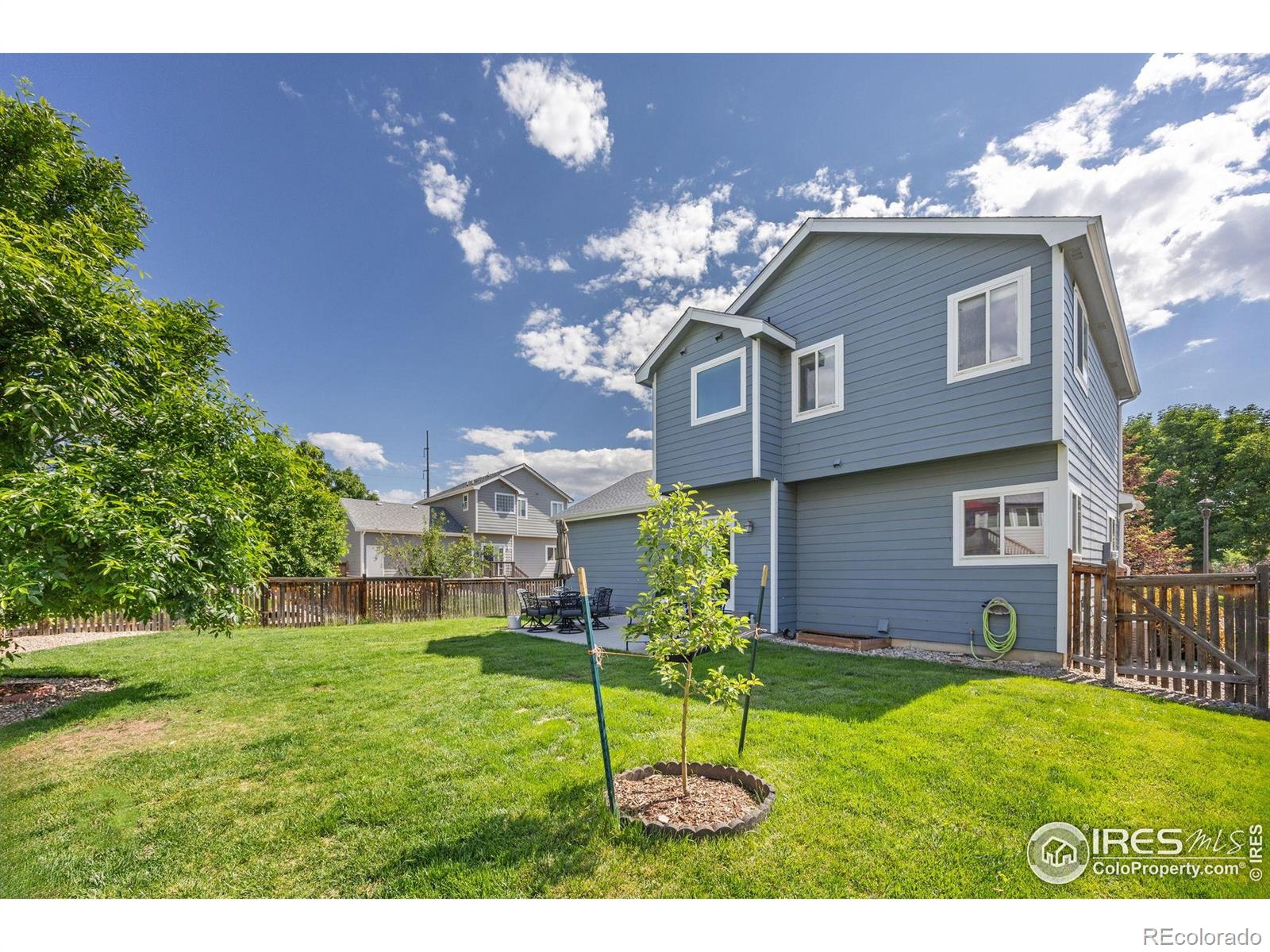 MLS Image #26 for 4263  divide drive,loveland, Colorado