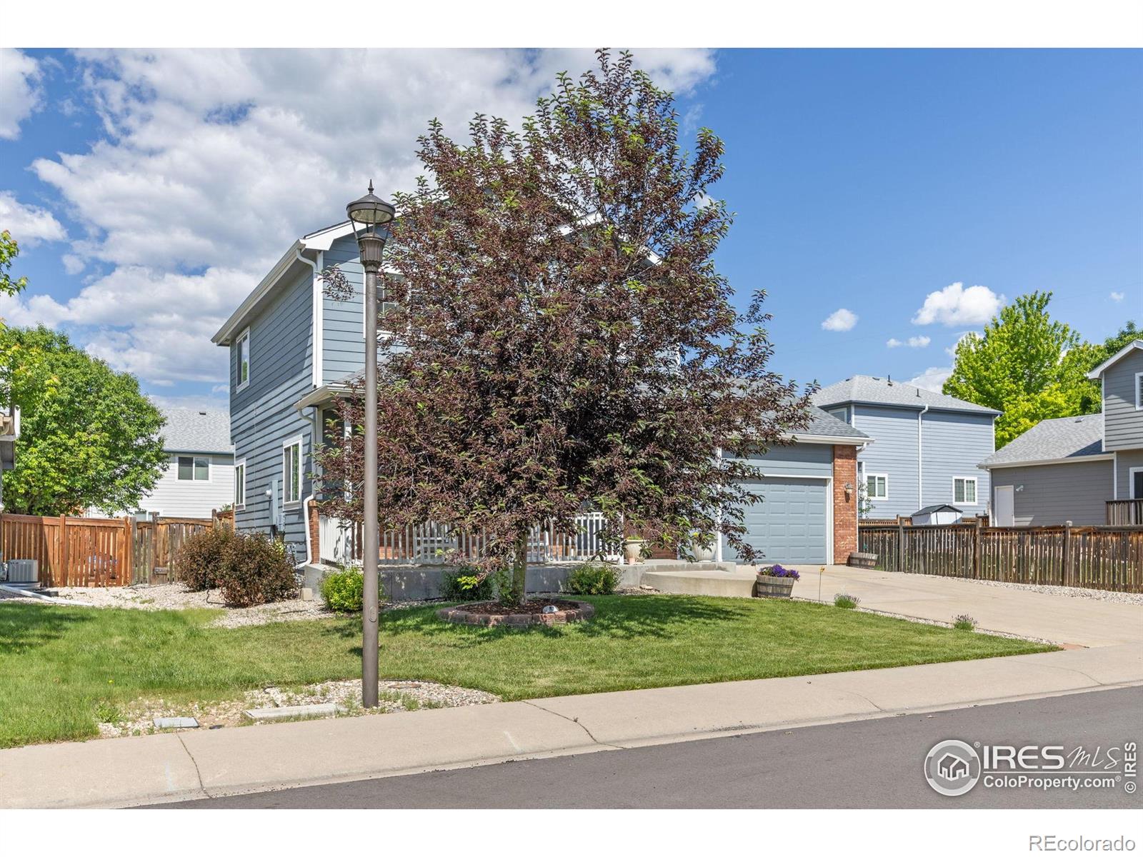 MLS Image #3 for 4263  divide drive,loveland, Colorado