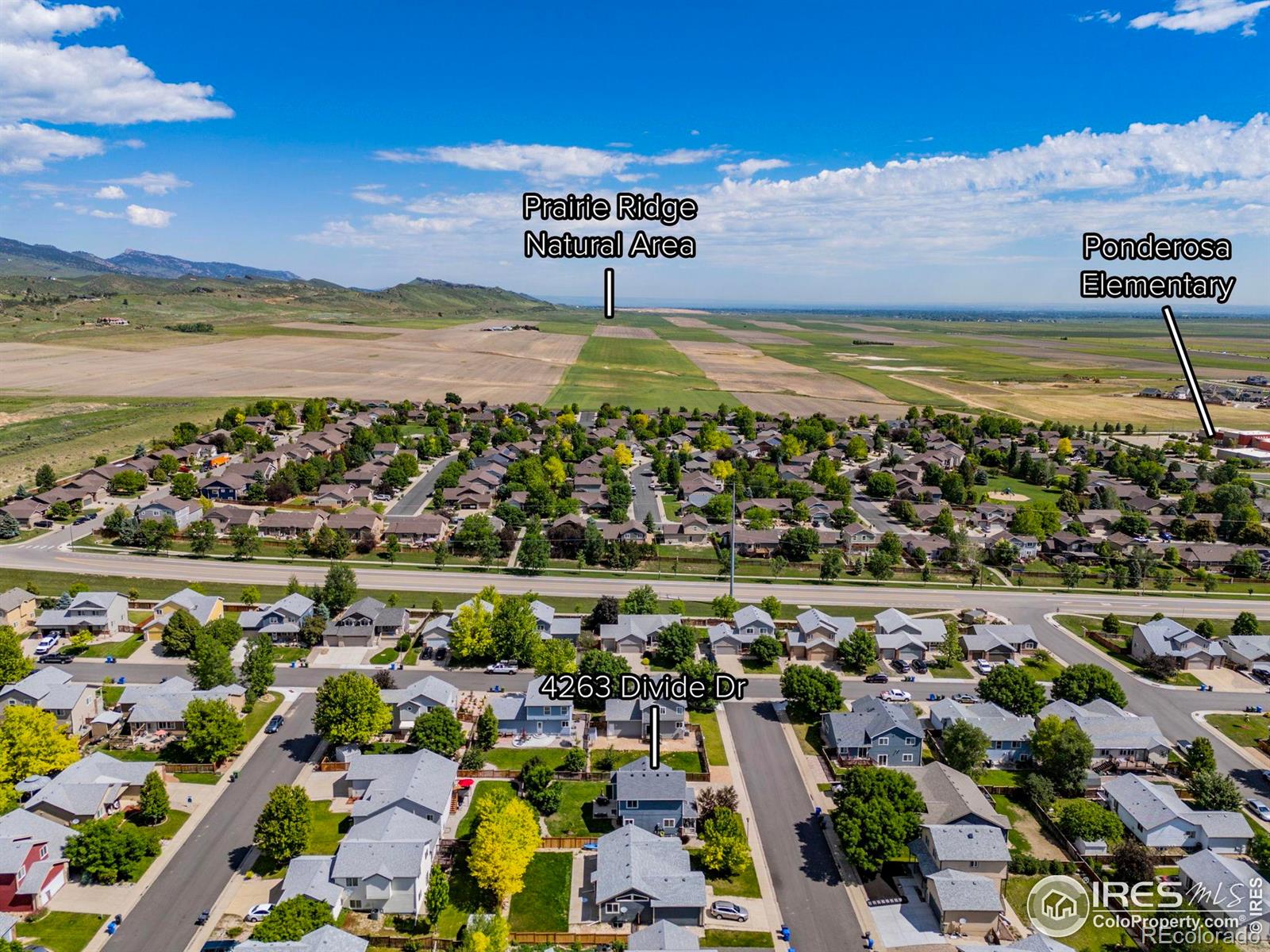 MLS Image #34 for 4263  divide drive,loveland, Colorado