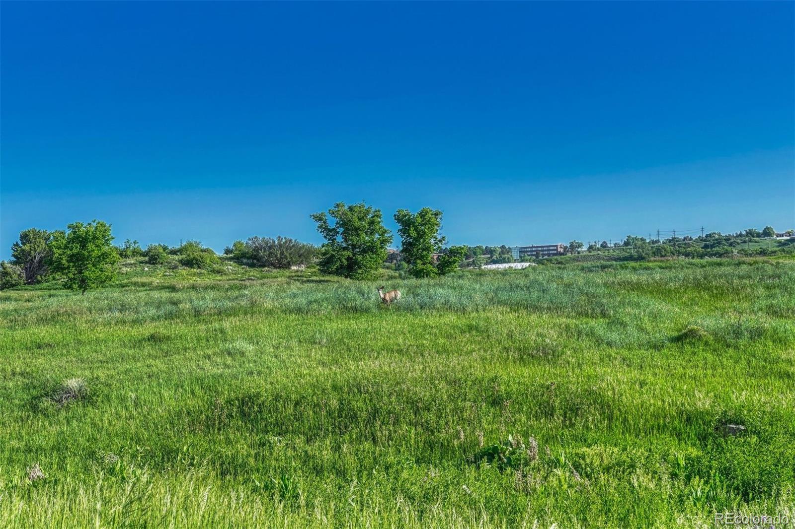 MLS Image #36 for 262  cobblestone drive,colorado springs, Colorado