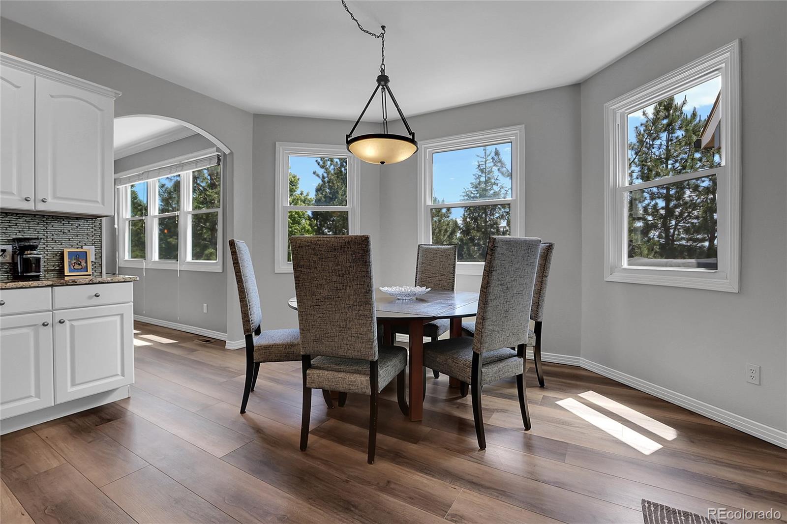 MLS Image #12 for 10822  eagle crest court,parker, Colorado
