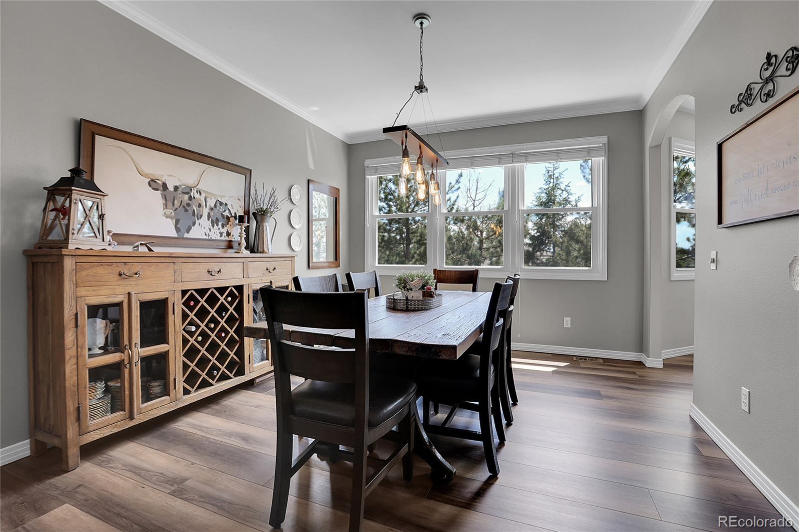 MLS Image #16 for 10822  eagle crest court,parker, Colorado