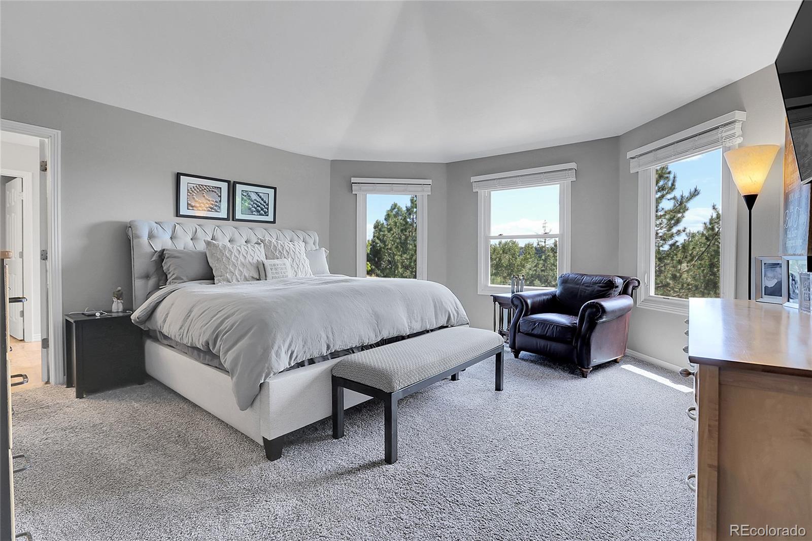 MLS Image #27 for 10822  eagle crest court,parker, Colorado
