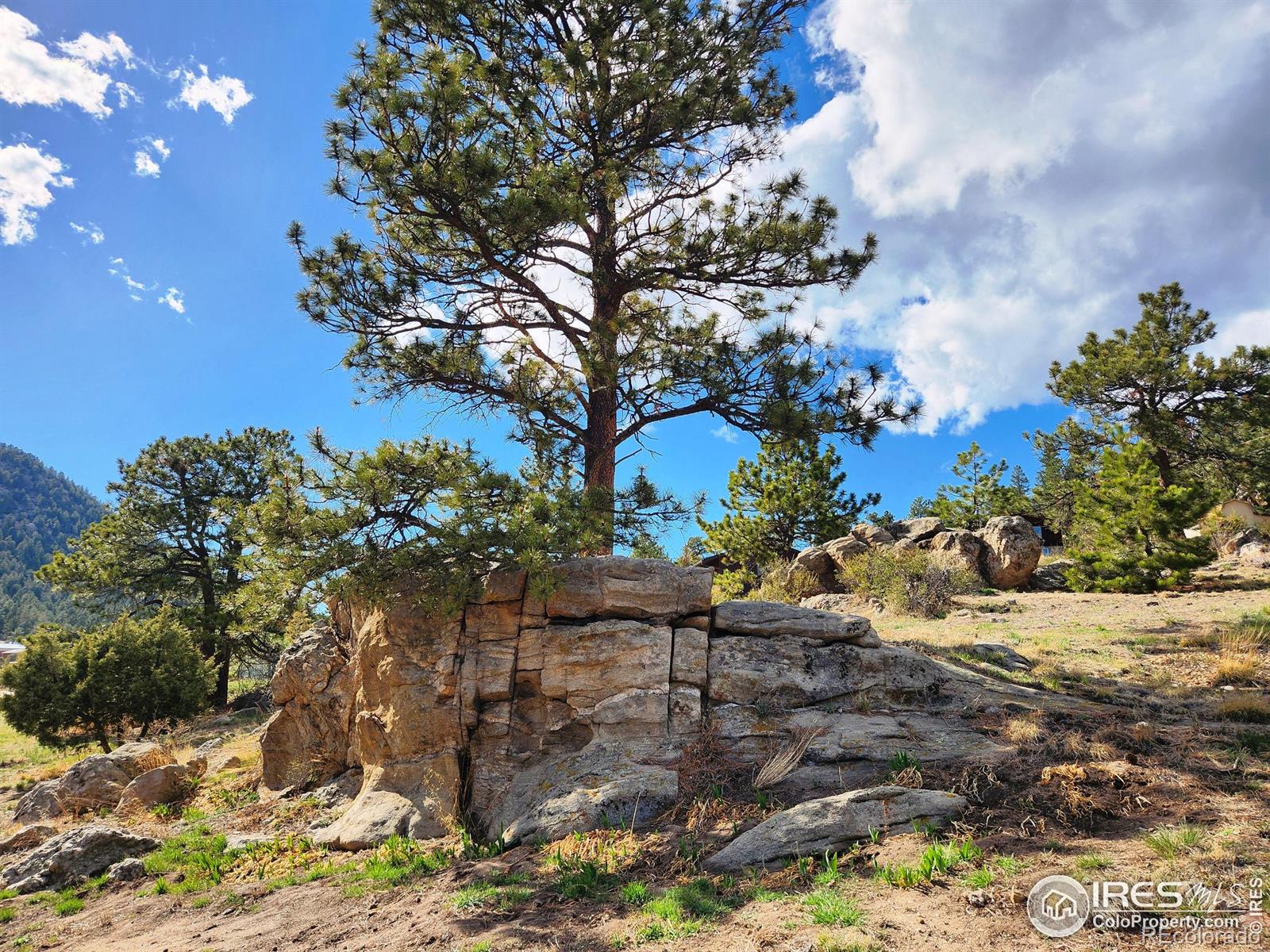 MLS Image #32 for 162  meadowview drive,estes park, Colorado
