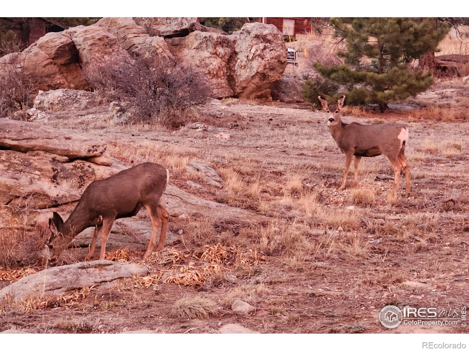MLS Image #36 for 162  meadowview drive,estes park, Colorado