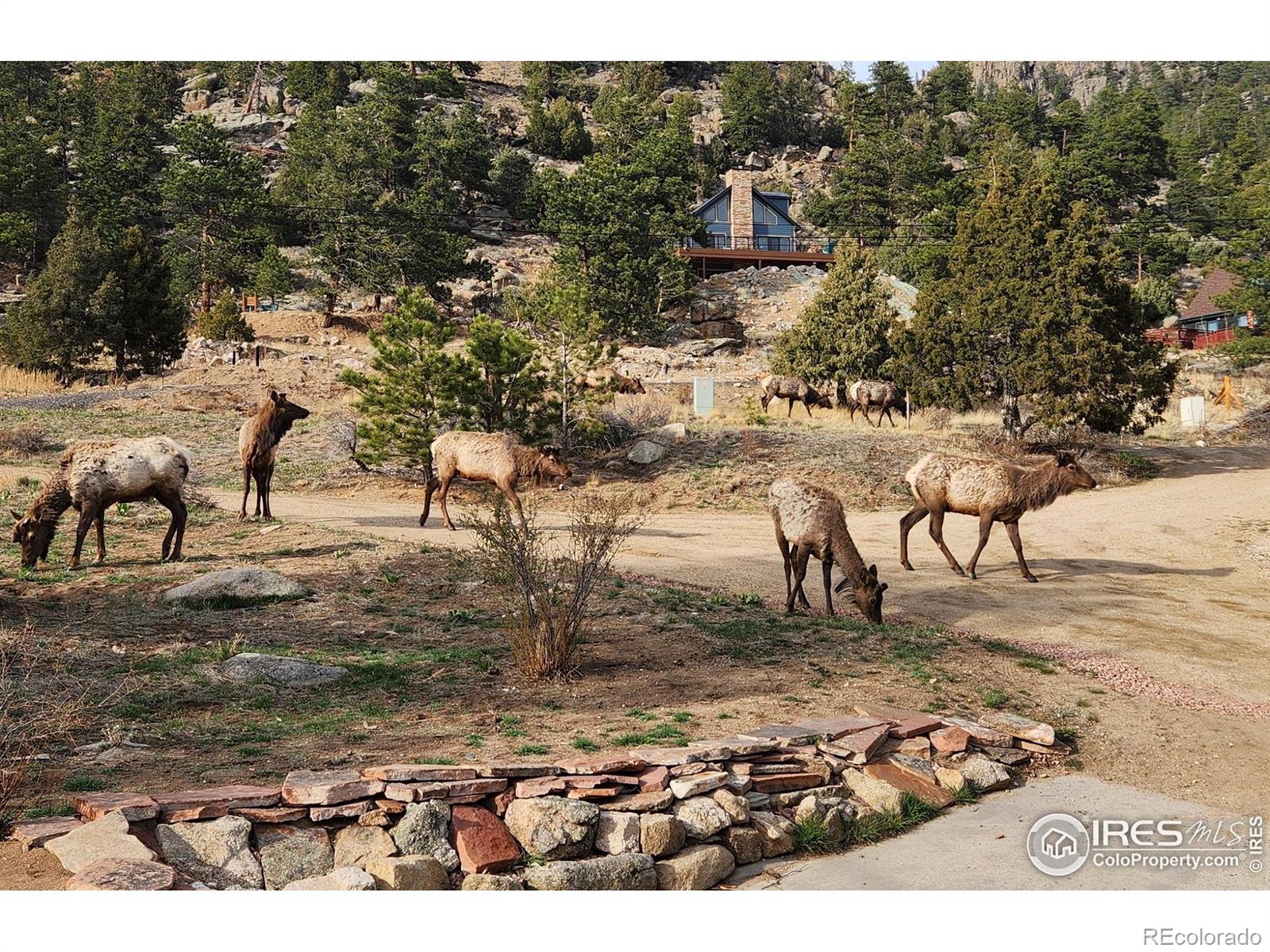 MLS Image #37 for 162  meadowview drive,estes park, Colorado