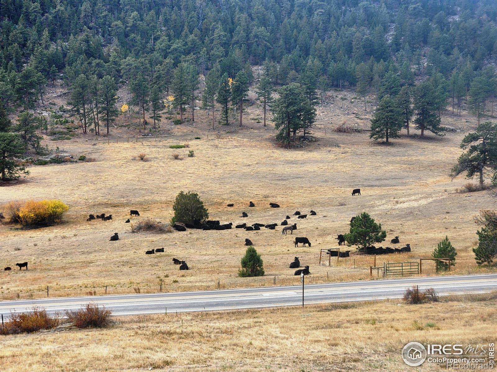 MLS Image #38 for 162  meadowview drive,estes park, Colorado