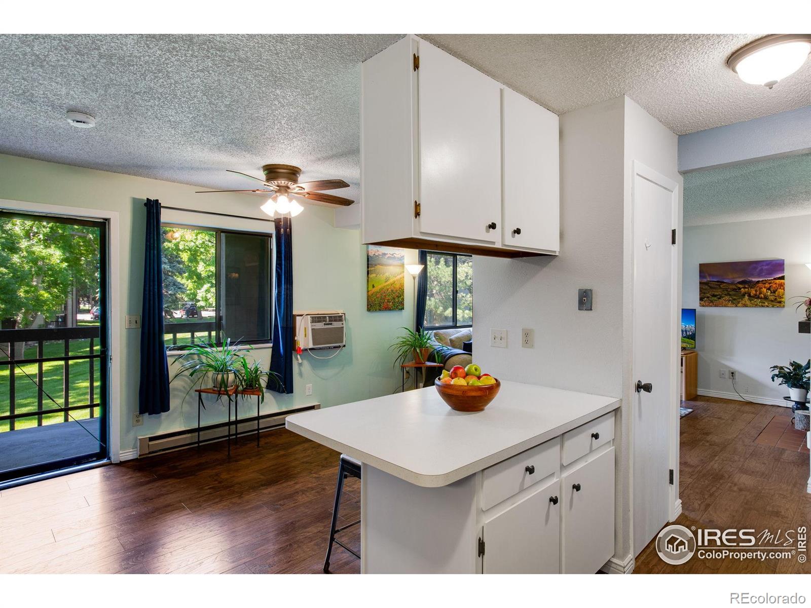 MLS Image #10 for 925  columbia road,fort collins, Colorado