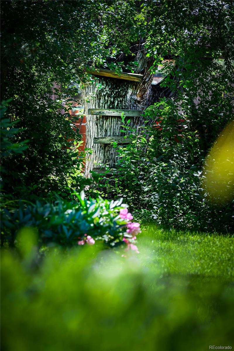 MLS Image #36 for 990 s jackson street,denver, Colorado