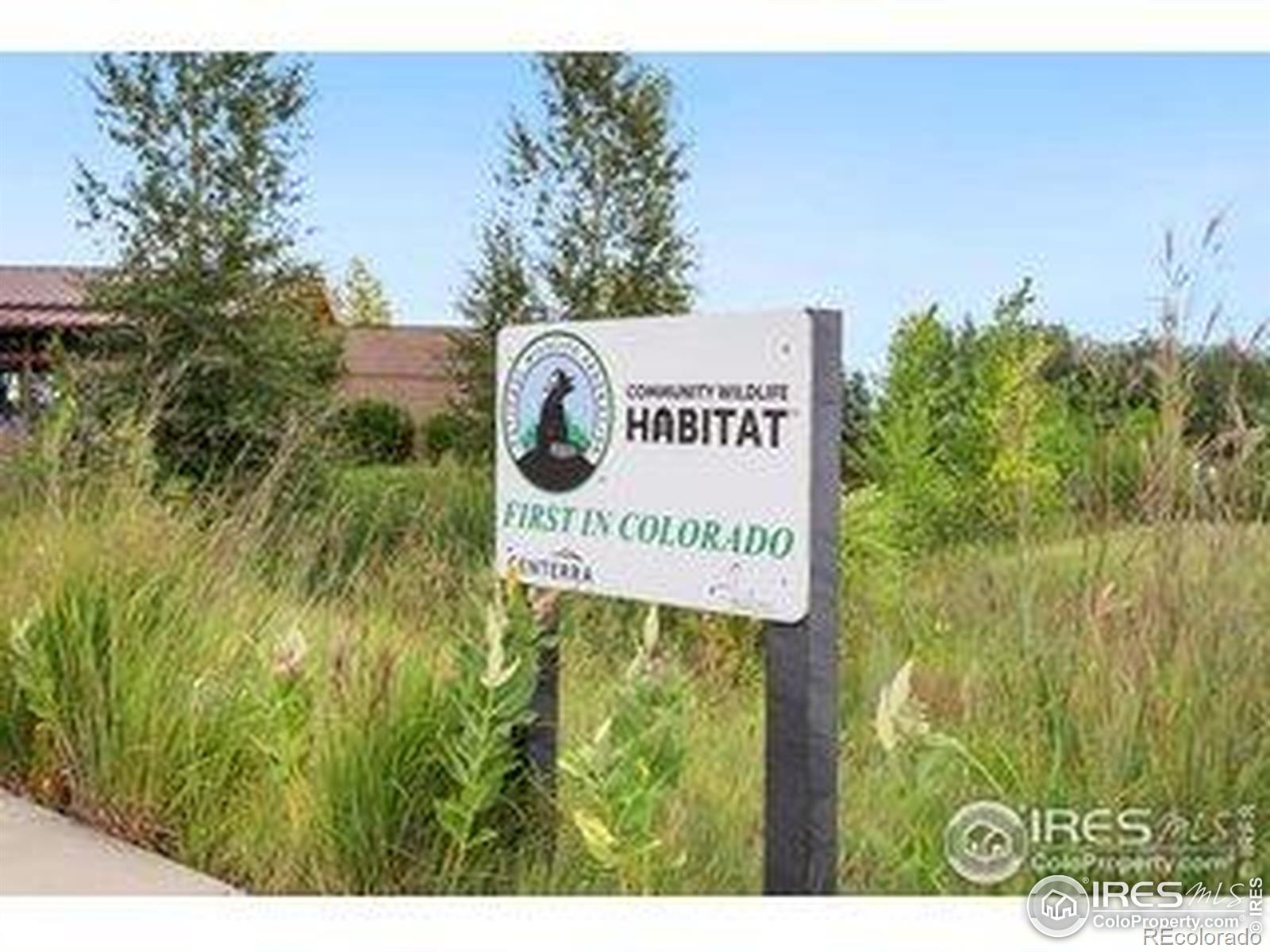 MLS Image #29 for 2453  trio falls drive,loveland, Colorado