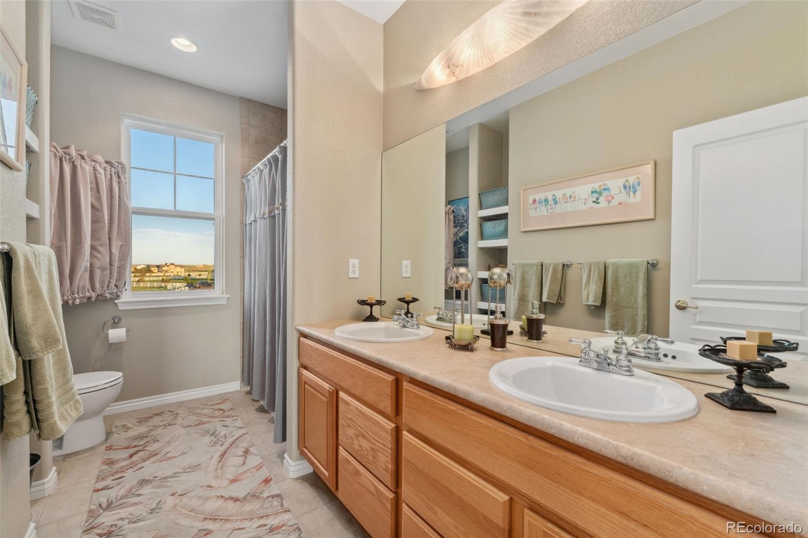 MLS Image #27 for 881  kirby court,watkins, Colorado