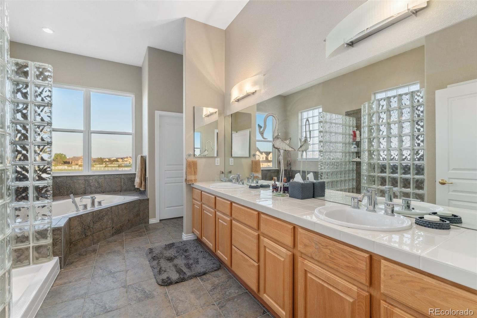 MLS Image #33 for 881  kirby court,watkins, Colorado