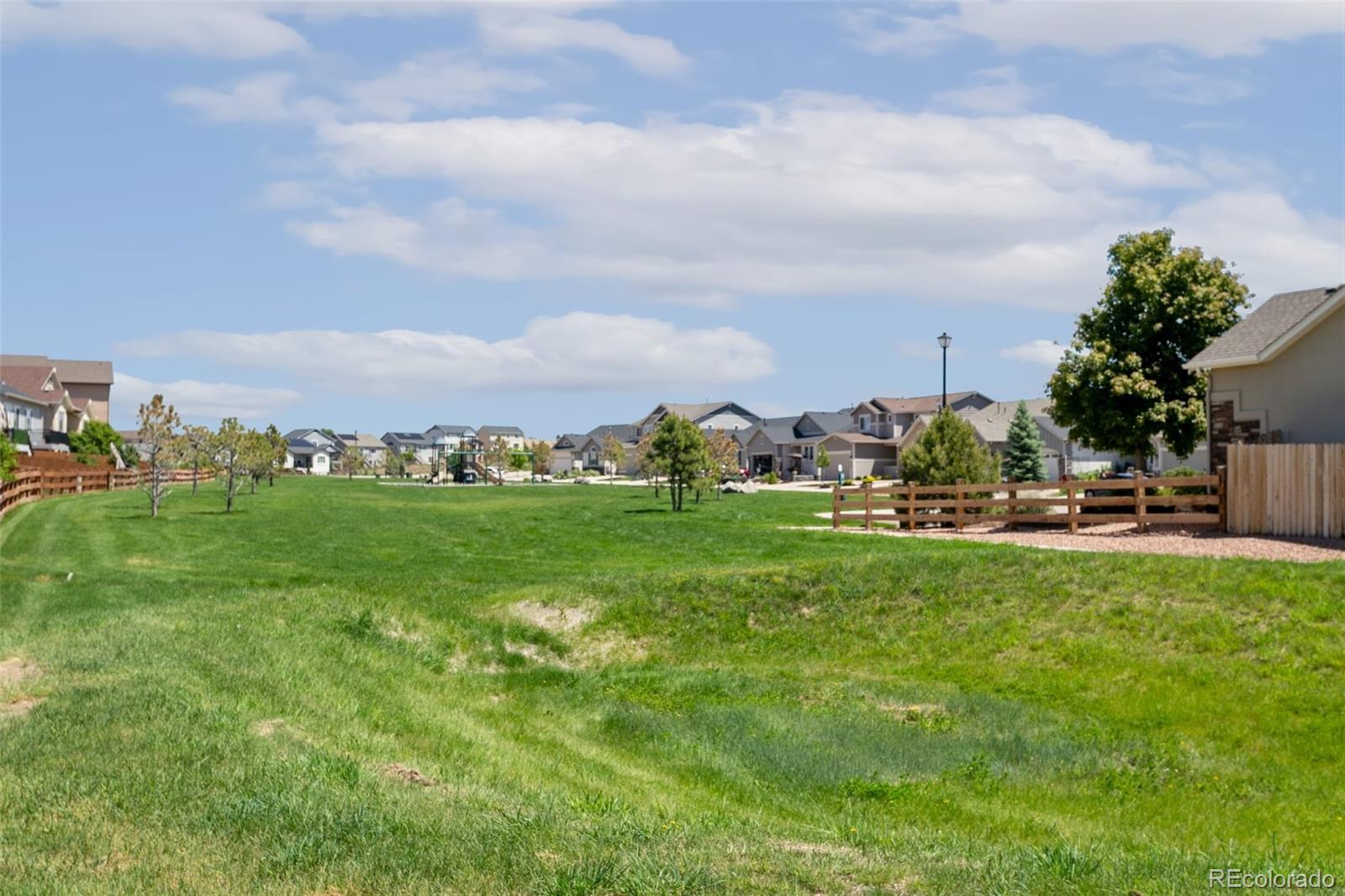 MLS Image #25 for 2451  horsemanship court,colorado springs, Colorado