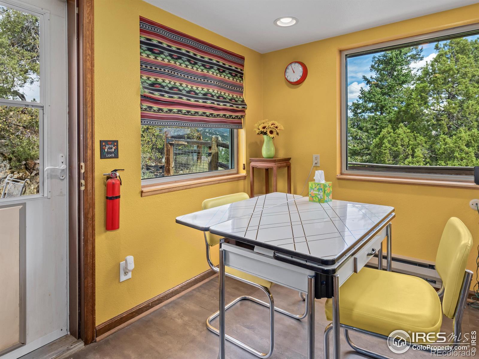 MLS Image #10 for 621  landers street,estes park, Colorado