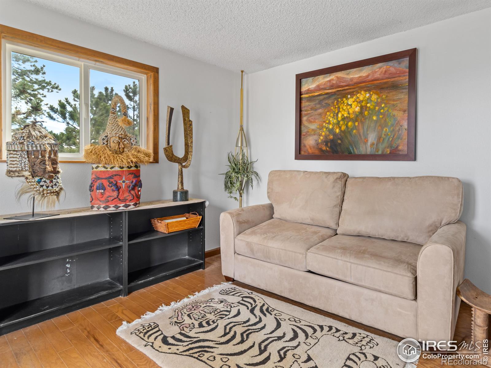MLS Image #12 for 621  landers street,estes park, Colorado