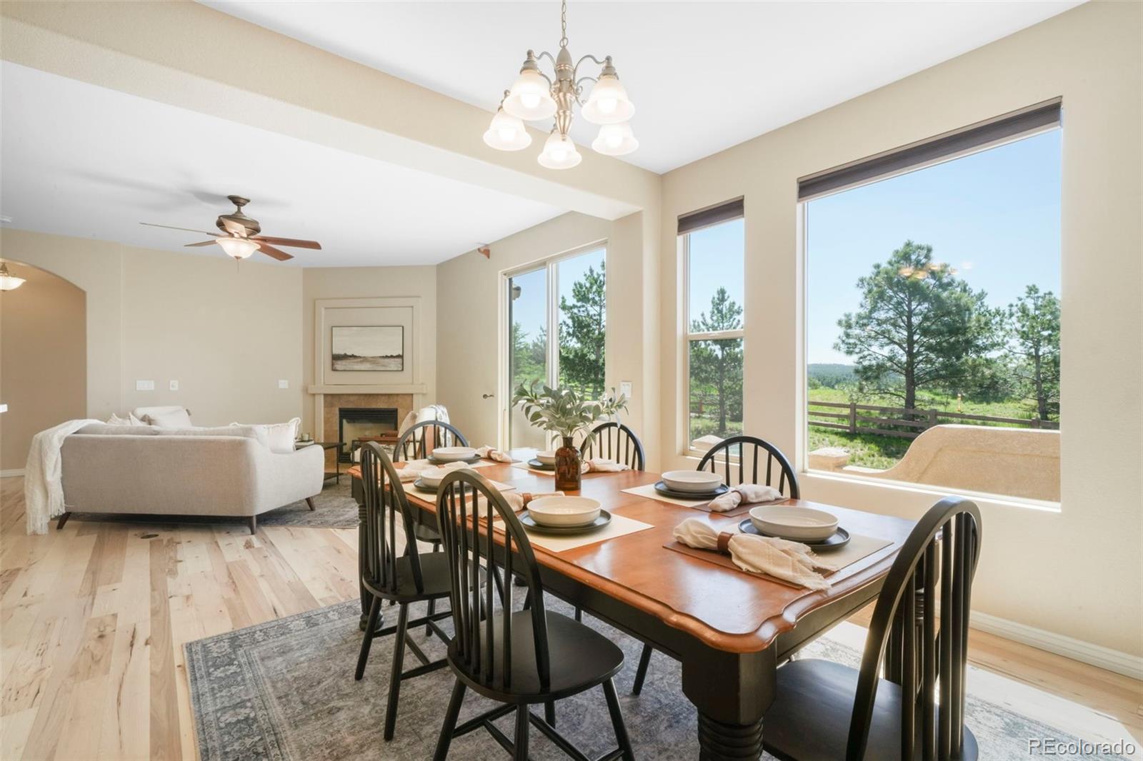 MLS Image #10 for 2739  crooked vine court,colorado springs, Colorado