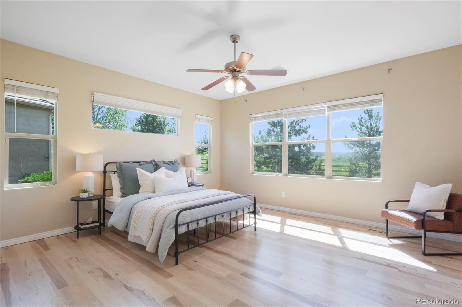MLS Image #19 for 2739  crooked vine court,colorado springs, Colorado