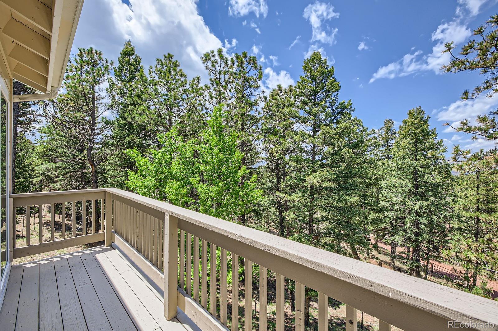 MLS Image #22 for 2206  spruce road,woodland park, Colorado