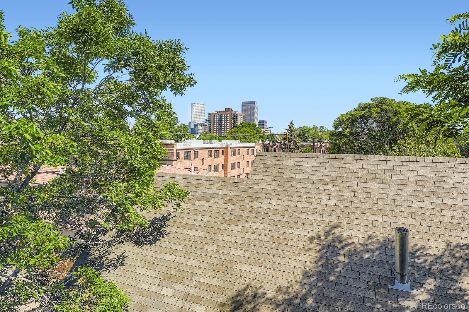 MLS Image #21 for 937 n clarkson street,denver, Colorado