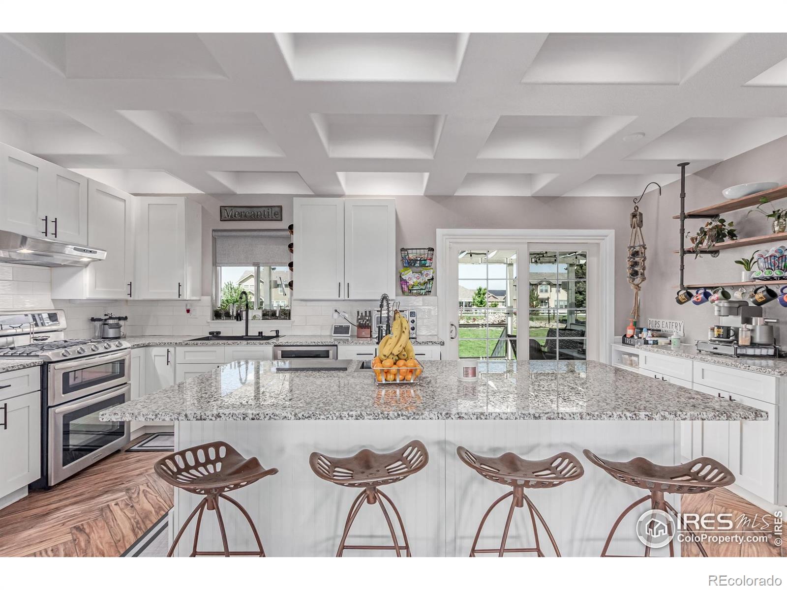 MLS Image #10 for 1451  red fox circle,severance, Colorado